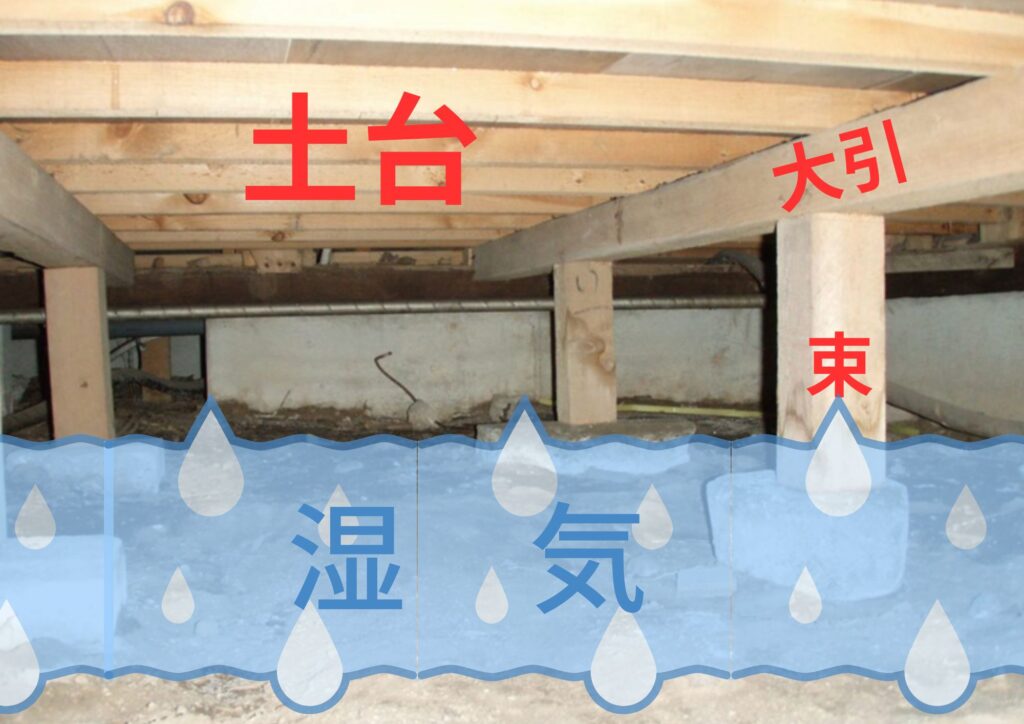 床下の木部